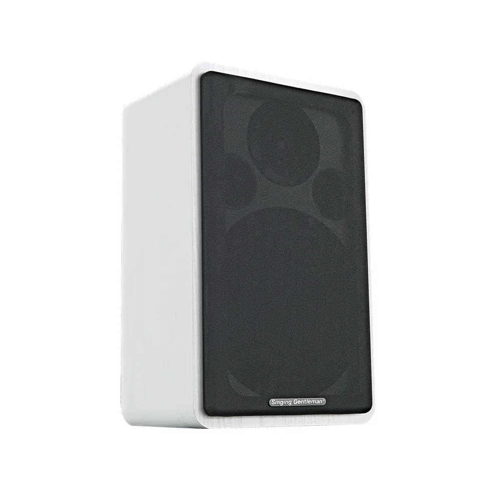 

Portable 150W 8inch Portable Wireless Karaoke Party Speaker Bookshelf Speaker Home Use