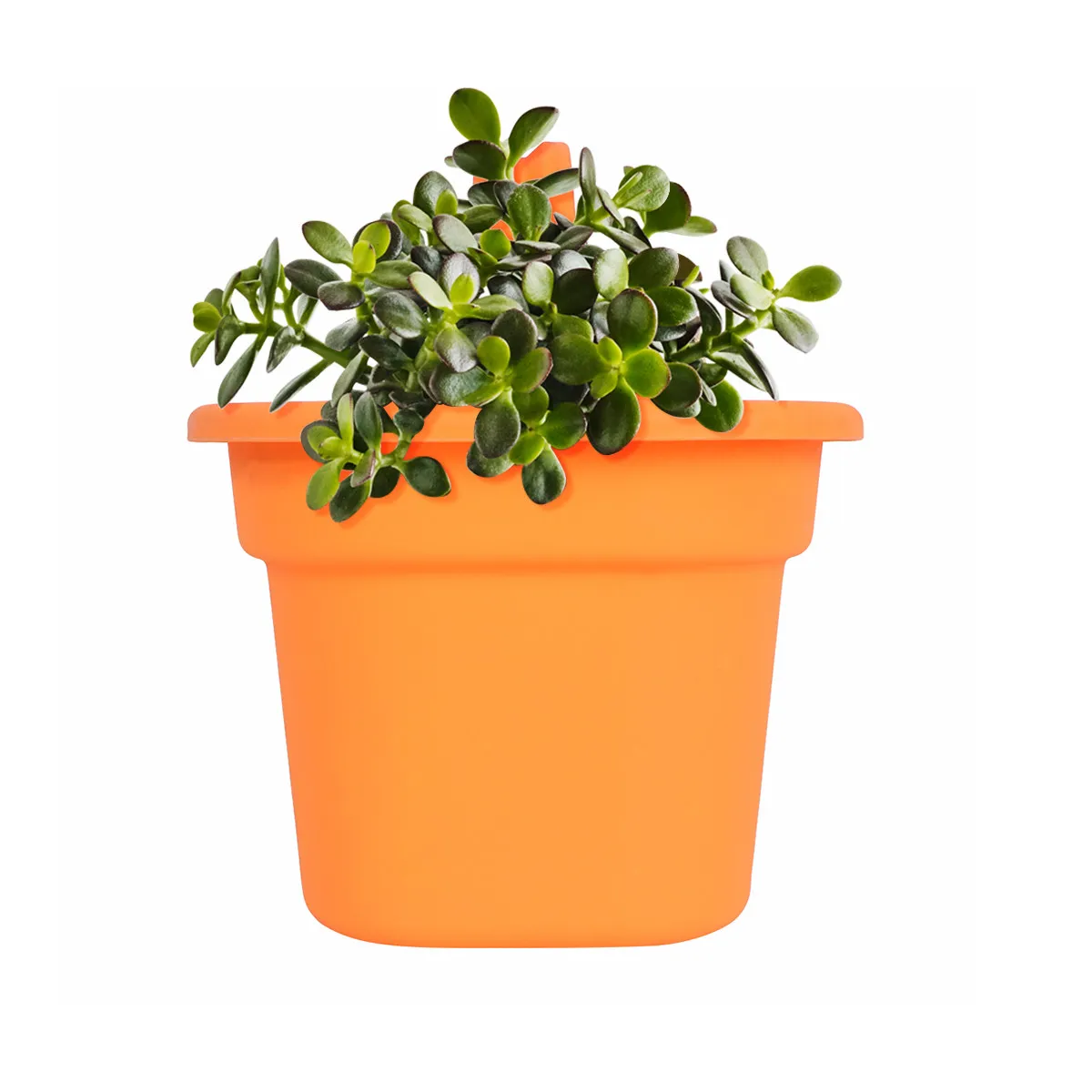 Green Hanging Basket Large Size Semi-Circular Wall Mount Basket Hook Resin Storage Organizer for Plants Cosmetics Home Garden