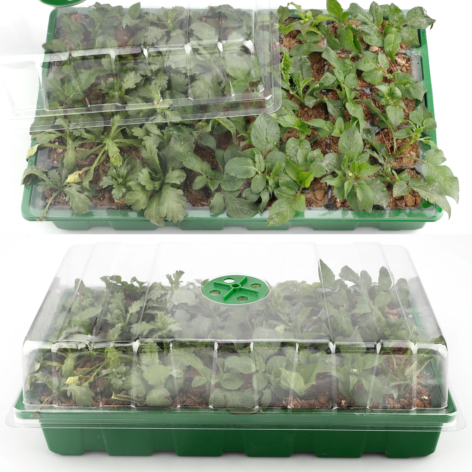 ZK50 3 sets 40 Hole Seedling Trays Black Plant Growth Plate Sturdy 3pcs Ventilation PP Base For Seeds' Starting Flower Pot