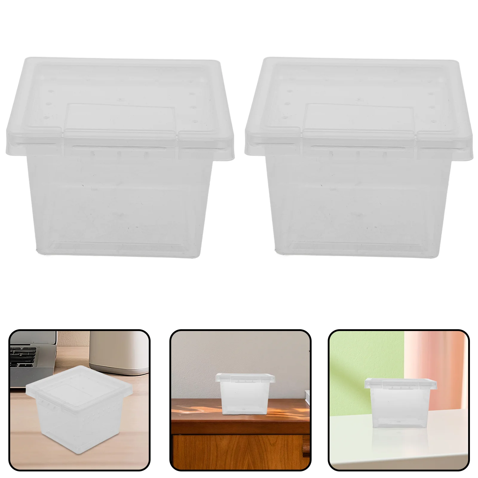 

100 Pcs Animals Pet Feeding Box Reptile Boxes Breeding Cage Mini Transparent Container