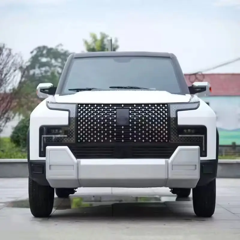 Adult new energy electric vehicles suitable for family travel and city commuting
