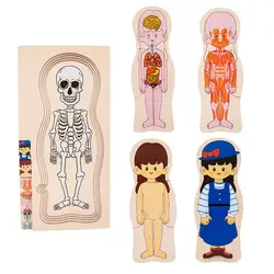 Human Body Puzzle For Kids Anatomy Play Set Educational Anatomy Jigsaw Learning Toys Montessori Puzzles Anatomy Skeleton Toy