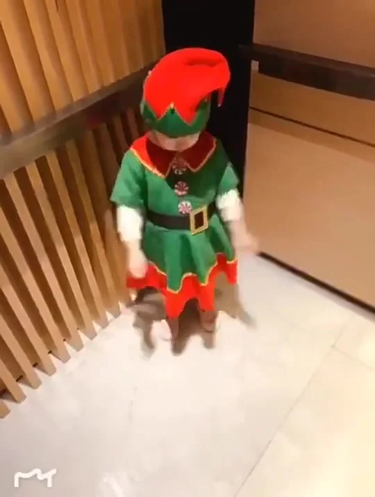 أزياء قزم عيد الميلاد للأطفال والكبار، مجموعات أزياء سانتا كلوز، الجان الأخضر، لعب الأدوار في عيد الميلاد، 2025، منتجات جديدة.