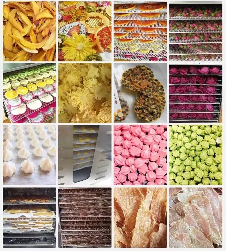 

90 60 Trays Food Dehydrator Vegetable Snack Fruit Dryer Multifunctional Drying Machine