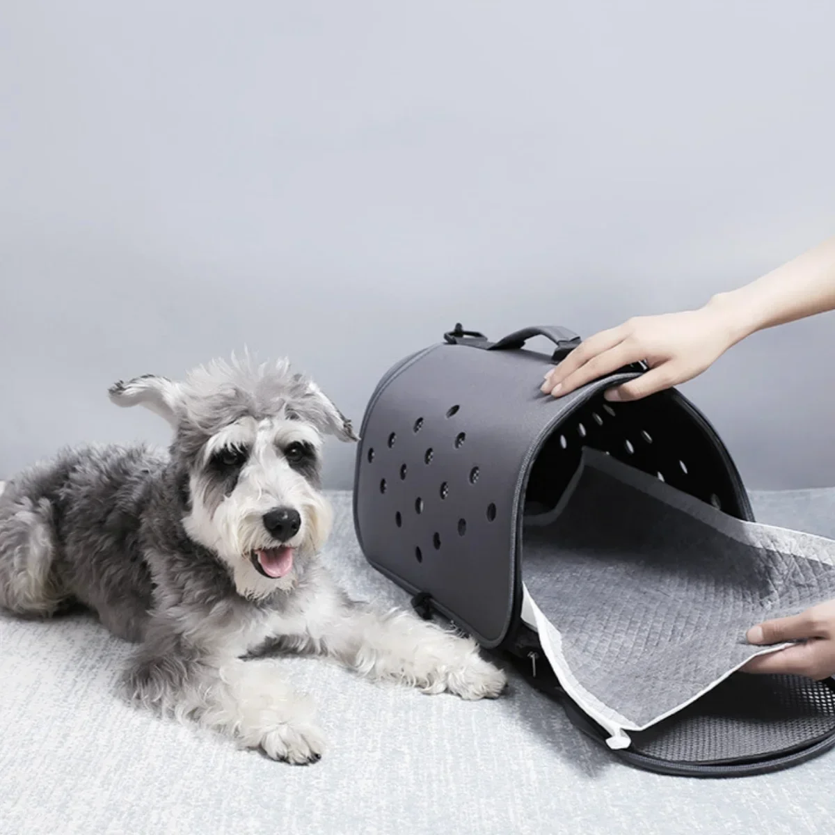 Thumbnail 2 - #3 Trending Dog Diaper Pads & Liners Right Now