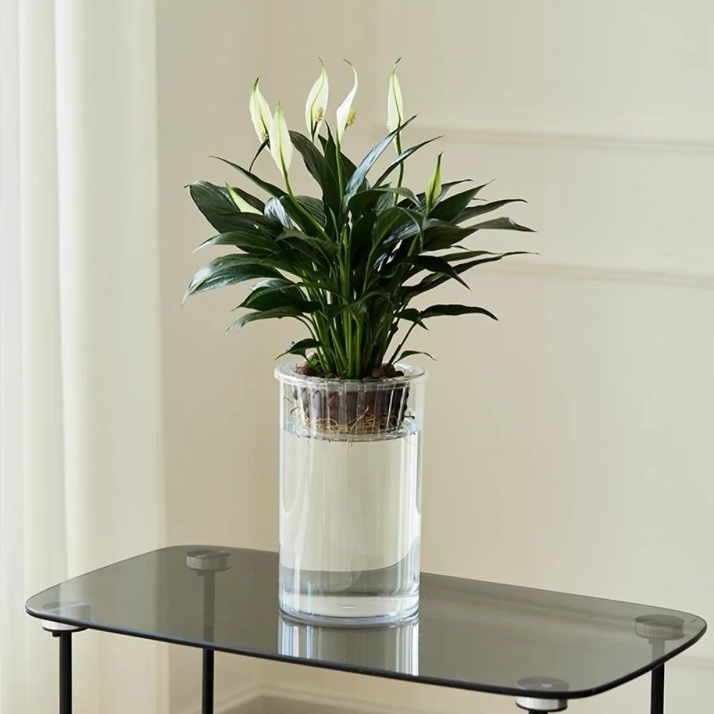 Indoor Plants Clear Hydroponic Vase Imitation Glass High Transparent Lazy Flower Pot Decorative Modern Plant Pot Desktop Deco