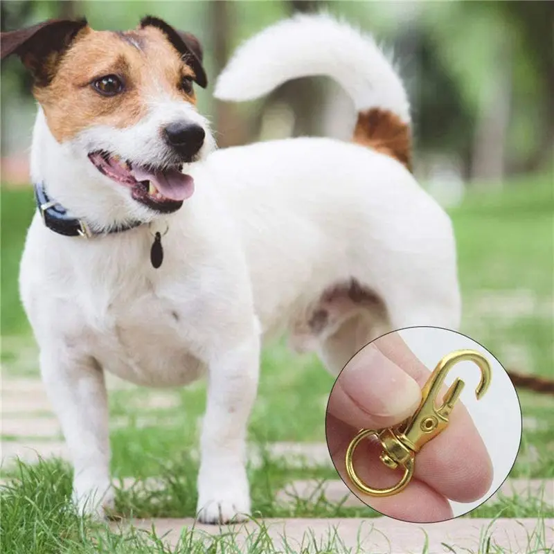 A95D-100 قطعة المشابك الدوارة الحبل المفاجئة هوك، المعادن قطب الحبل المفاجئة هوك جراد البحر مخلب المشبك الذهب #4