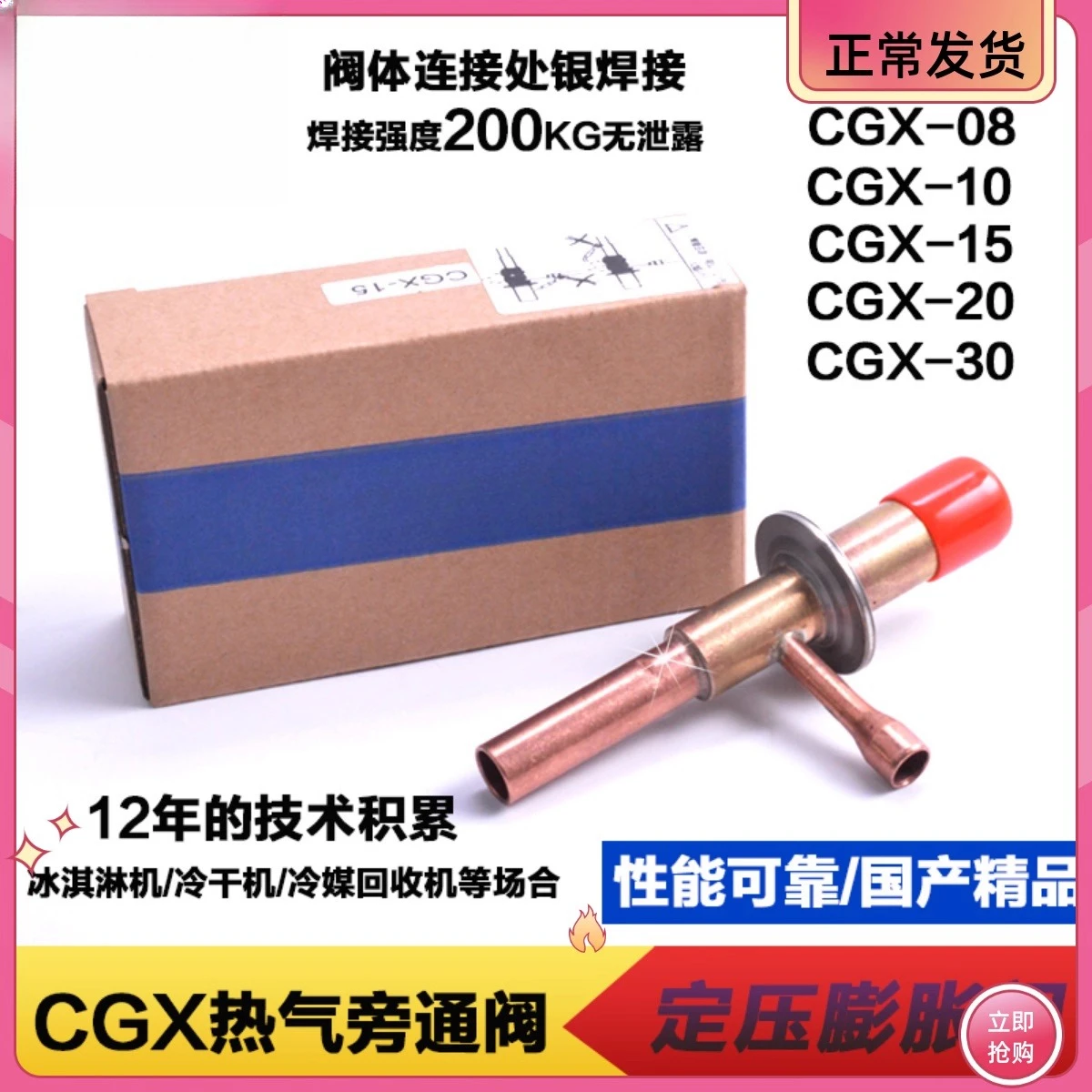 Constant pressure expansion valve Cold dryer system CGX-05 08 10 15 20 30 Bypass