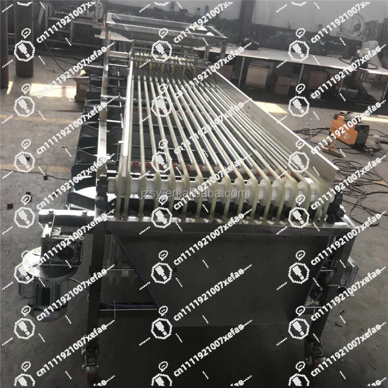 High-quality Stainless Steel Automatic Bayberry Sorter/small and Medium-sized Fruit Jujube Sorting Equipment