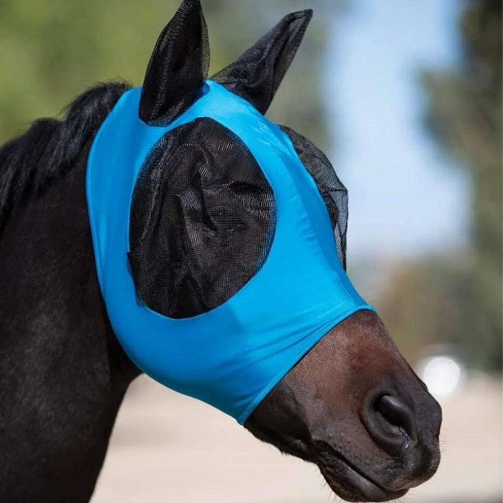 Horse Outdoor Bite Prevention Mask Horse Head Mesh Protective Fly Mask (Blue)