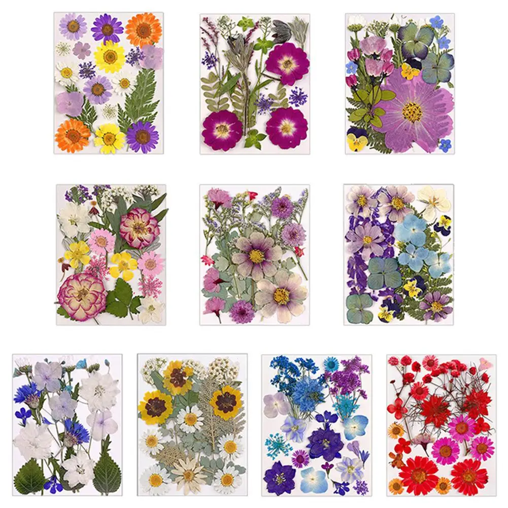 1 Bag Dried Flowers Diy Pressed Flowers Stickers For Phone Case Jewelry Making Crafts Nail Art Decor