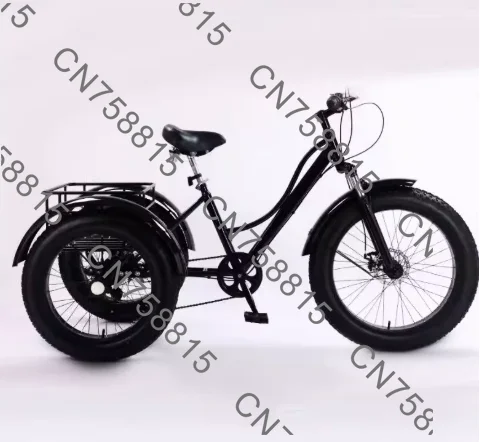 

2025 24-inch adult lithium battery electric tricycle, light moped, universal on snow and land