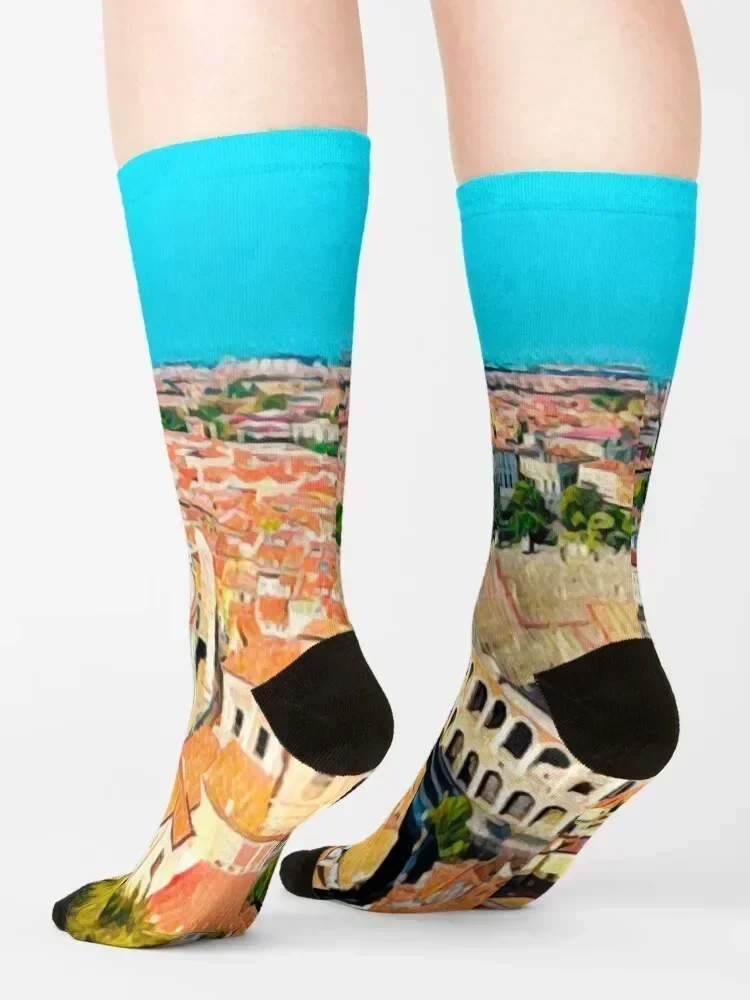 Verona Vintage Travel Socks warm winter compression bright garter winter gifts Men Socks Women's
