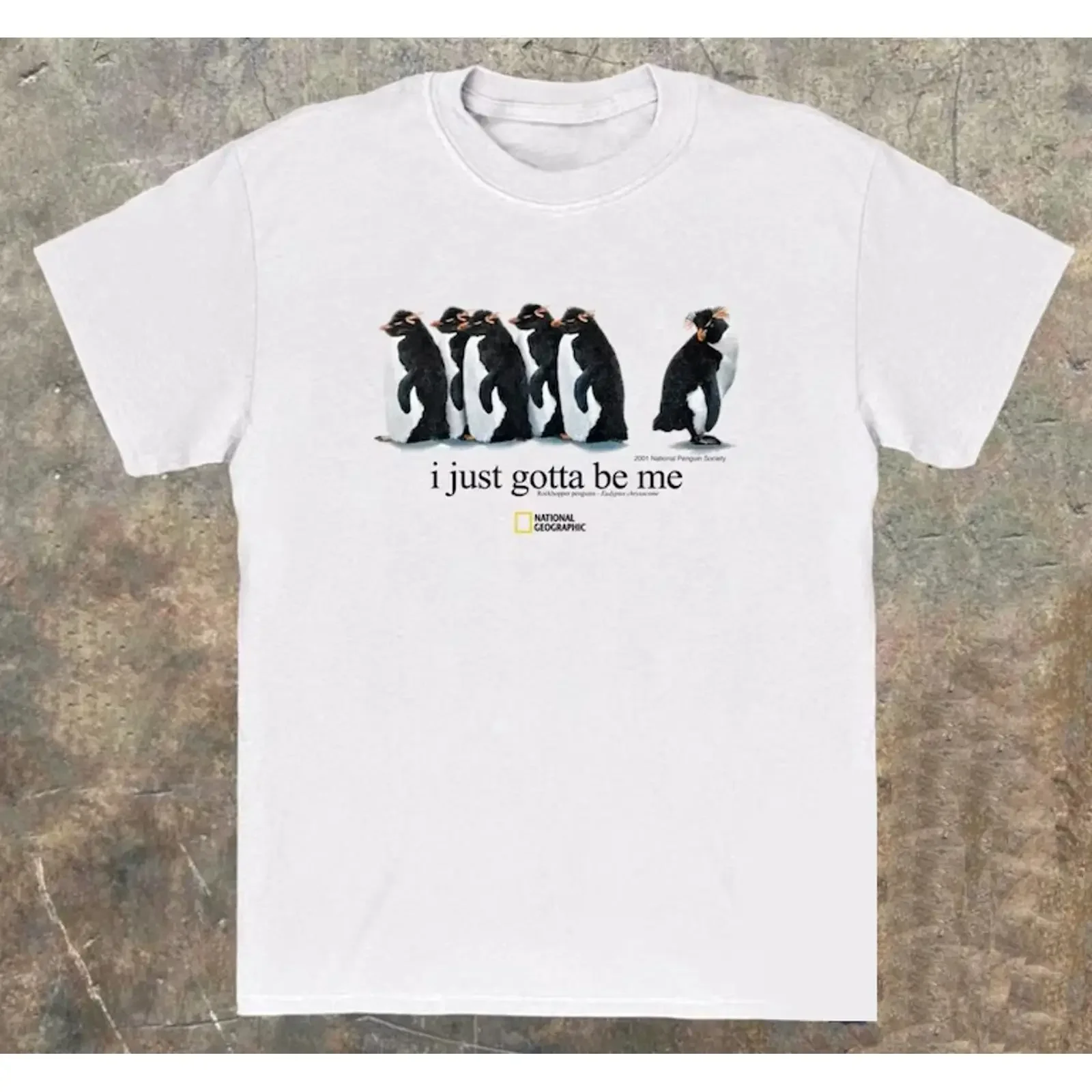 I Just Gotta Be Me T shirt Vintage 2001 National Geo Society graphic tee vintage Washed homme Top For Everyday Wear fashion