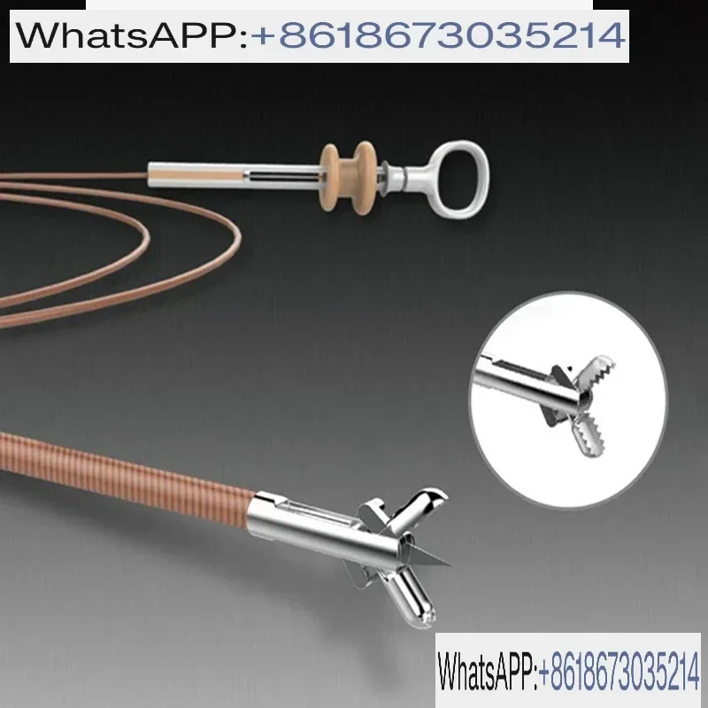 

Disposable/Endoscopy/Colonoscopy/Gastroscopy/Bronchoscopy/Digestive Tract/Biopsy Forceps