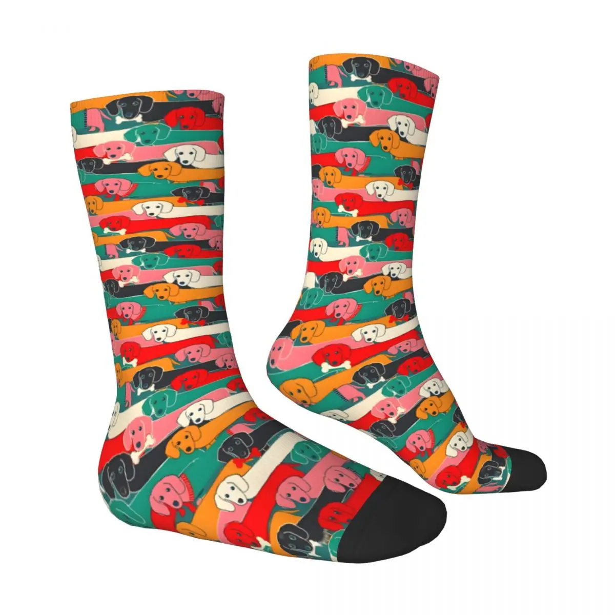 Colorful Dachshund Dachshund Socks Male Mens Women Autumn Stockings Printed