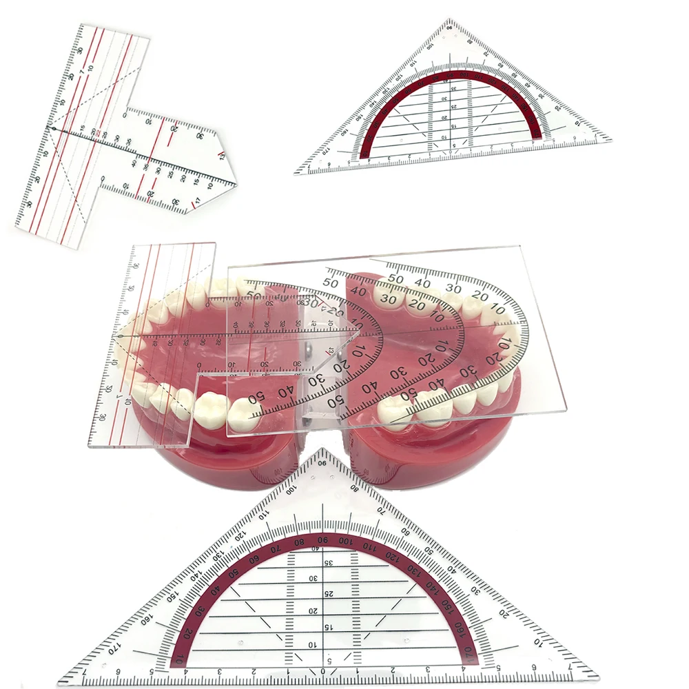 1pcs Denture Work Dental Teeth Guide Plate Ruler Dental Guide Plate Teeth Arrangement on Dental Lab Tools