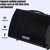 8 인치 100W 전문 나무 스피커 상자 일렉트릭 기타 앰프 야외베이스 악기 사운드 시스템 HIFI 블루투스 스피커 1