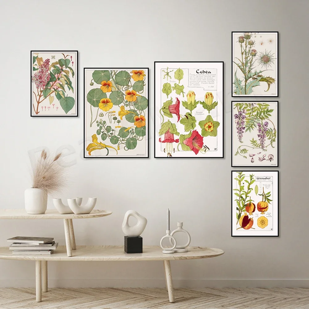 Art Nouveau-Póster Floral de frutas, cardo, Nasturtium, piña, cítricos, Granada, plátano, acuarela, decoración de pared
