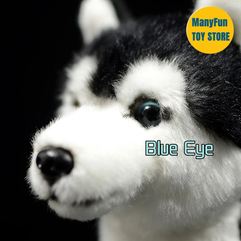 Odd Eyes Husky Dog Plush Toy High Fidelity Eskimo Dog Plushie Dogs Peluche Lifelike Stuffed Animals Simulation Doll Kawai Toys