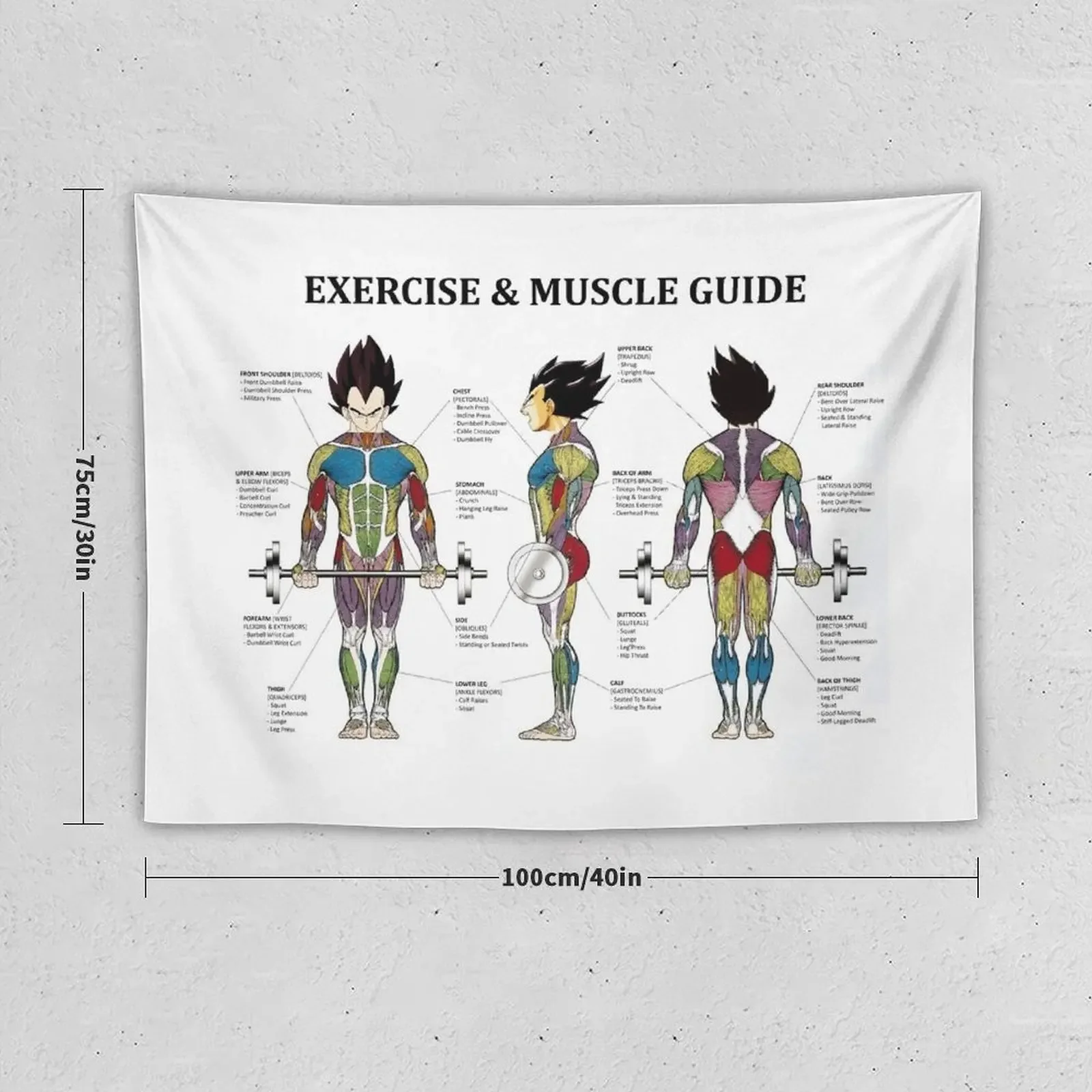 Anatomy Chart - Muscle Diagram - Anime Workout Inspirational Tapestry Decor For Bedroom Aesthetic Decoration Funny Tapestry