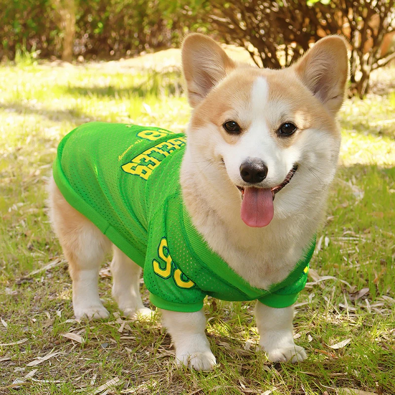 Thumbnail 3 - #44 Cheapest Dog Apparel Deals You Can Get