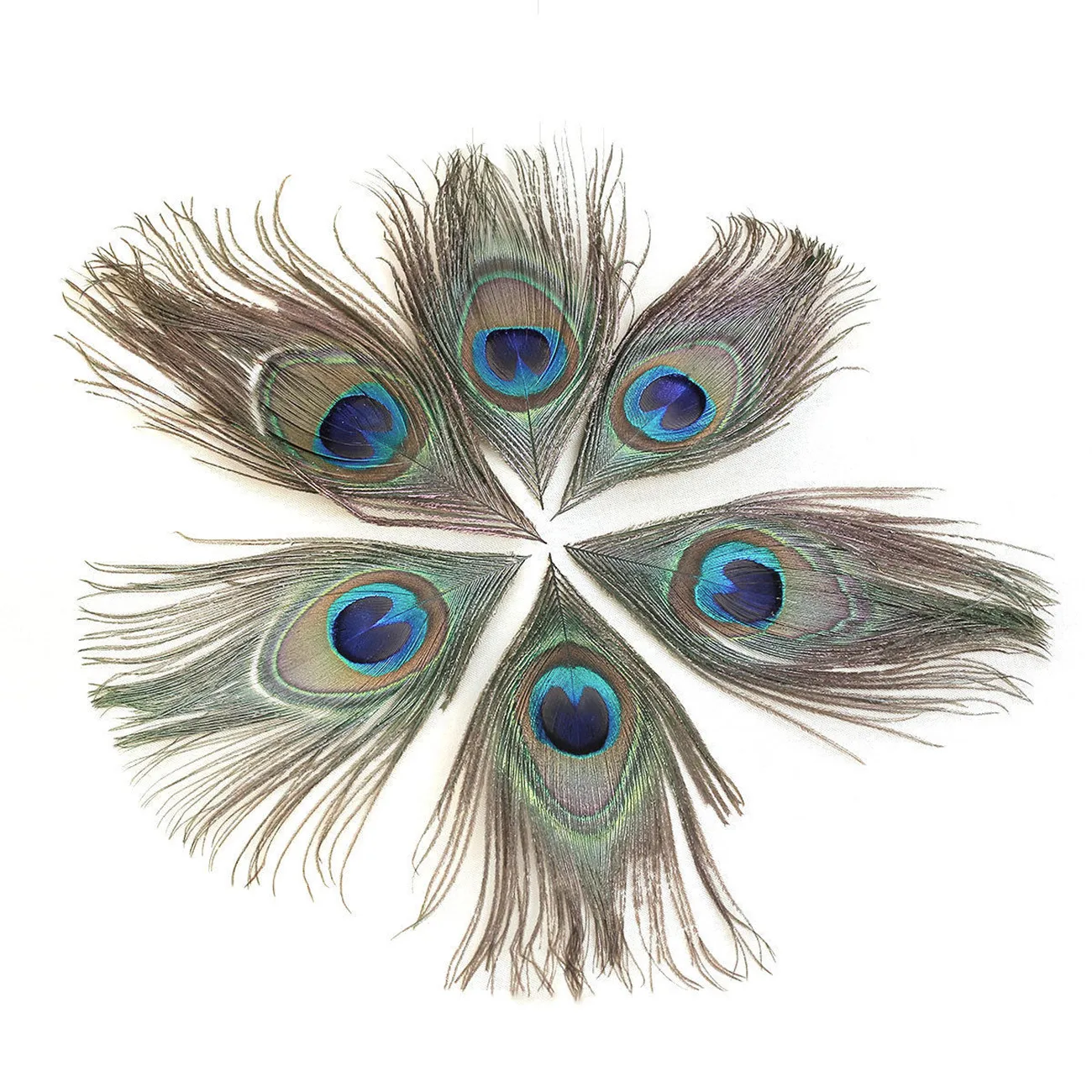 

100pcs Peacock Natural Eye Tail Diy Craft Decor Party Supplies Hat Accessories Halloween Home Decoration