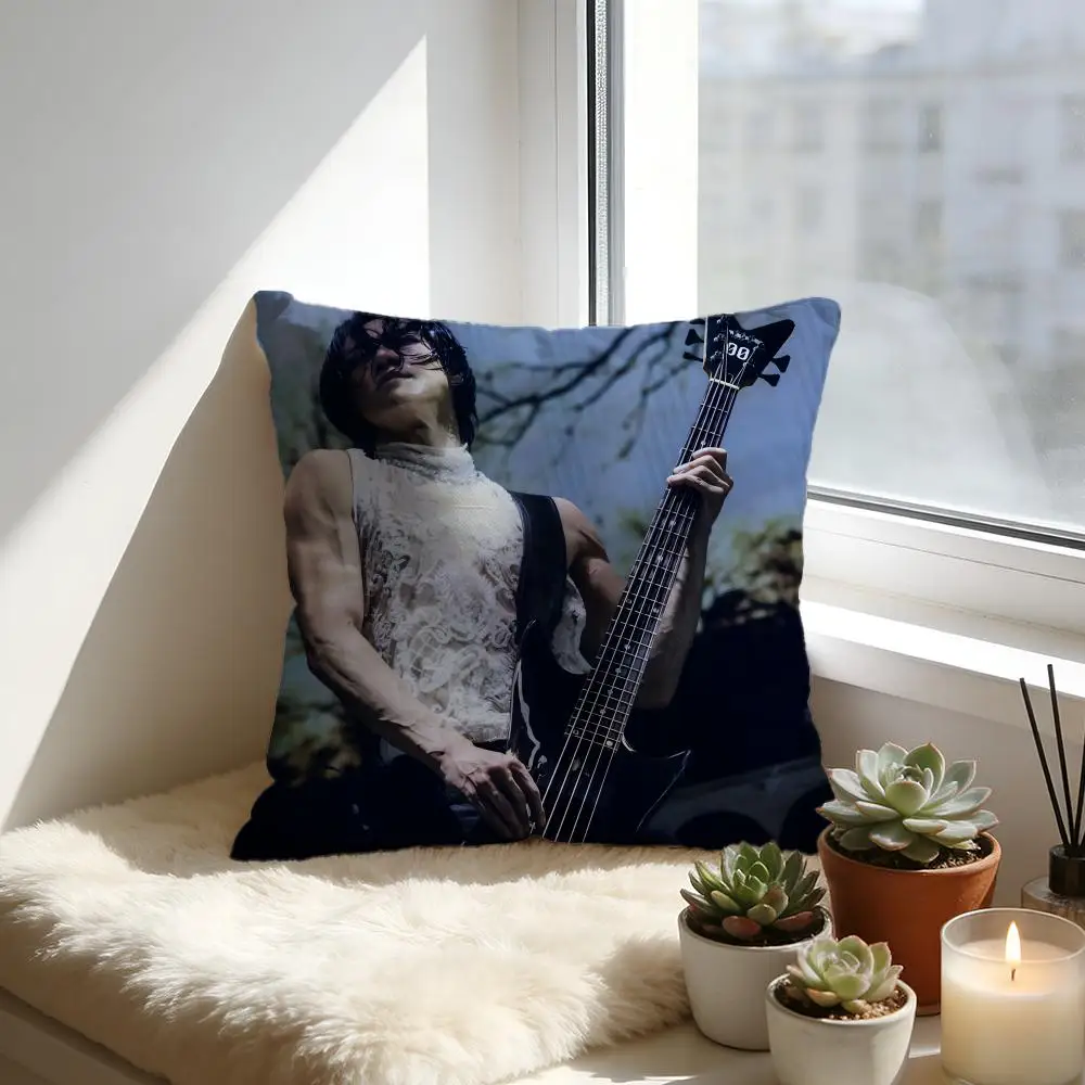 

Toshiya Cushion Cover Cozy Velvet Throw Pillow,Soft Warm Cushion For Sofa & Bed