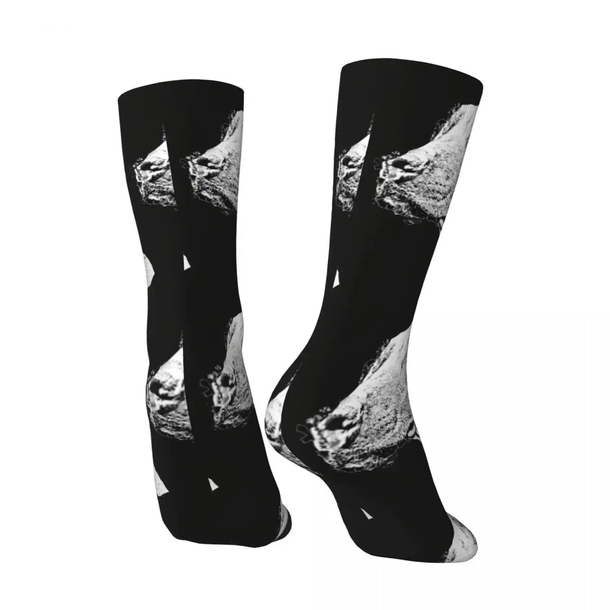 Chaussettes de Compression pour hommes, humoristiques et joyeuses, style Rhodesian, Vintage, ligne Harajuku, Hip Hop, nouveauté, sans couture