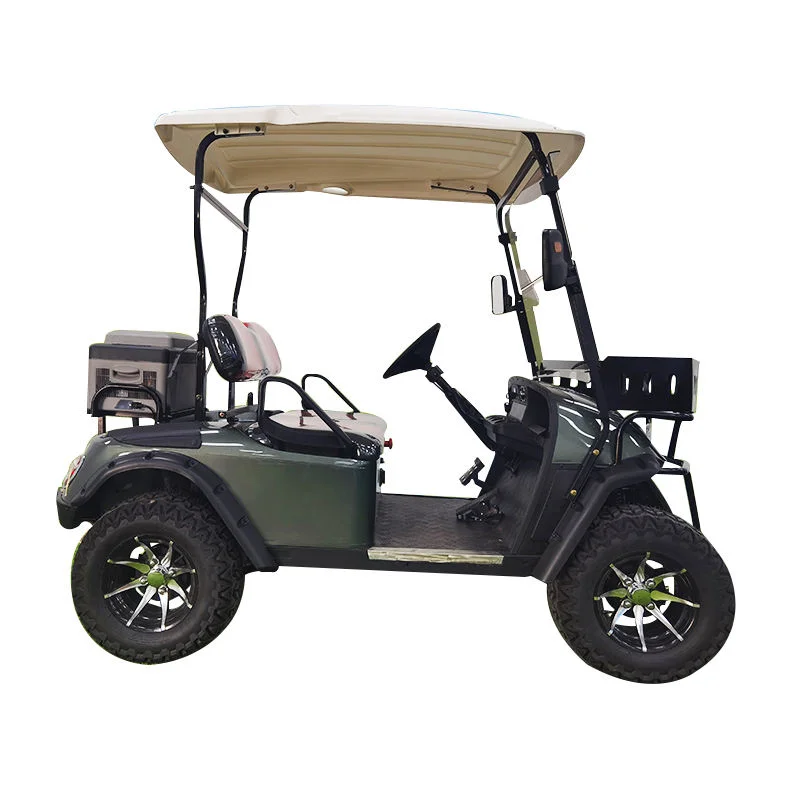 

High-quality mini golf cart, two-seat electric golf cart for sale