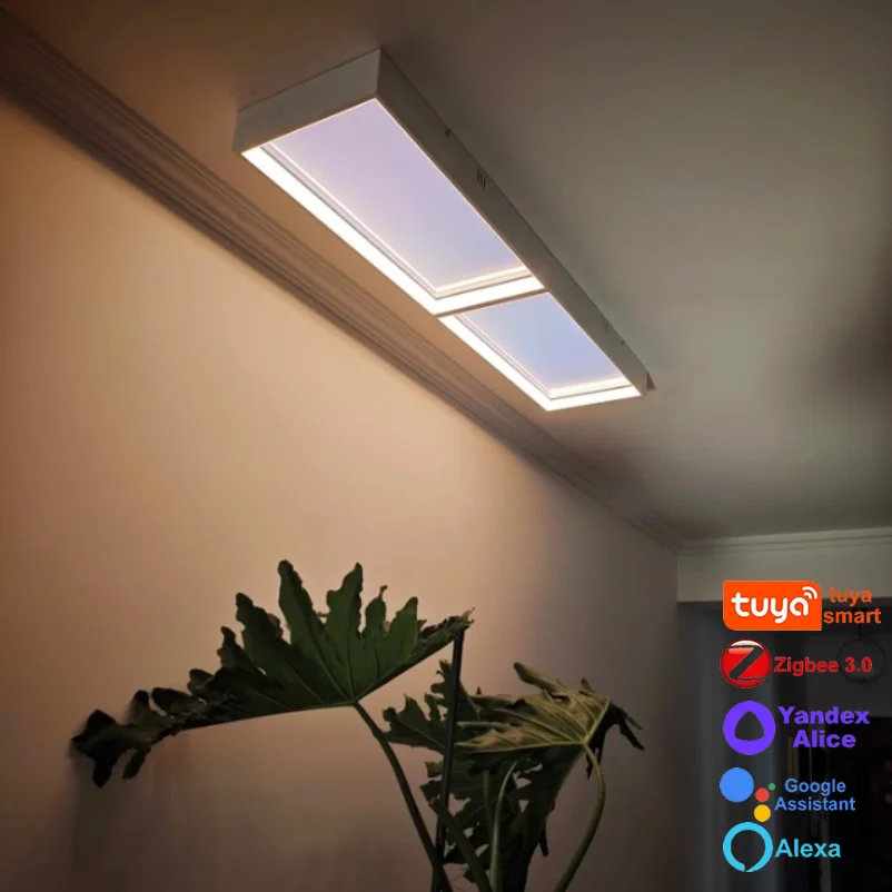 Tuya Smart Ceiling Lamp Skylight Zigbee Zigbee2mqtt Smart Lighting Home Assistant Led Downlight Kitchen Living Room Home Decor