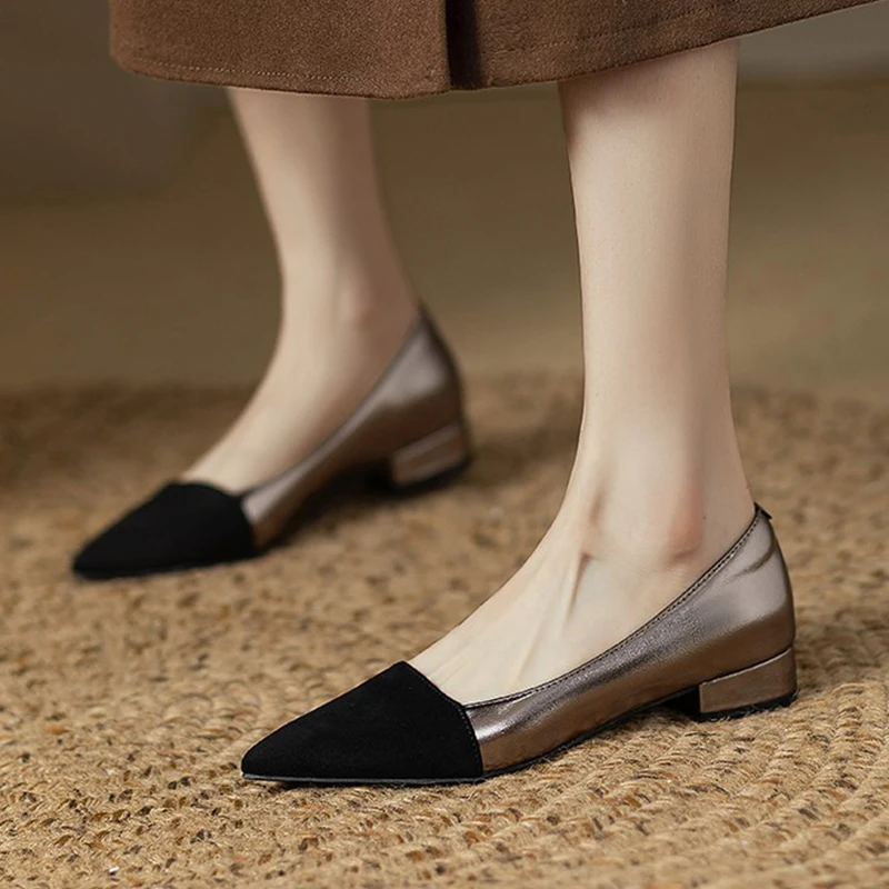 

Designer Pointed Toe High Heels Women Shoes Elegant Loafers Shoes Woman 2025 Winter New Chunky Shoes Shallow Dress Zapatos Mujer