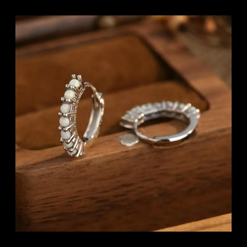 S925 فضة بسيط الأزياء دائرة الماس الأقراط الراقية مزاجه تنوعا الأقراط والمجوهرات #2