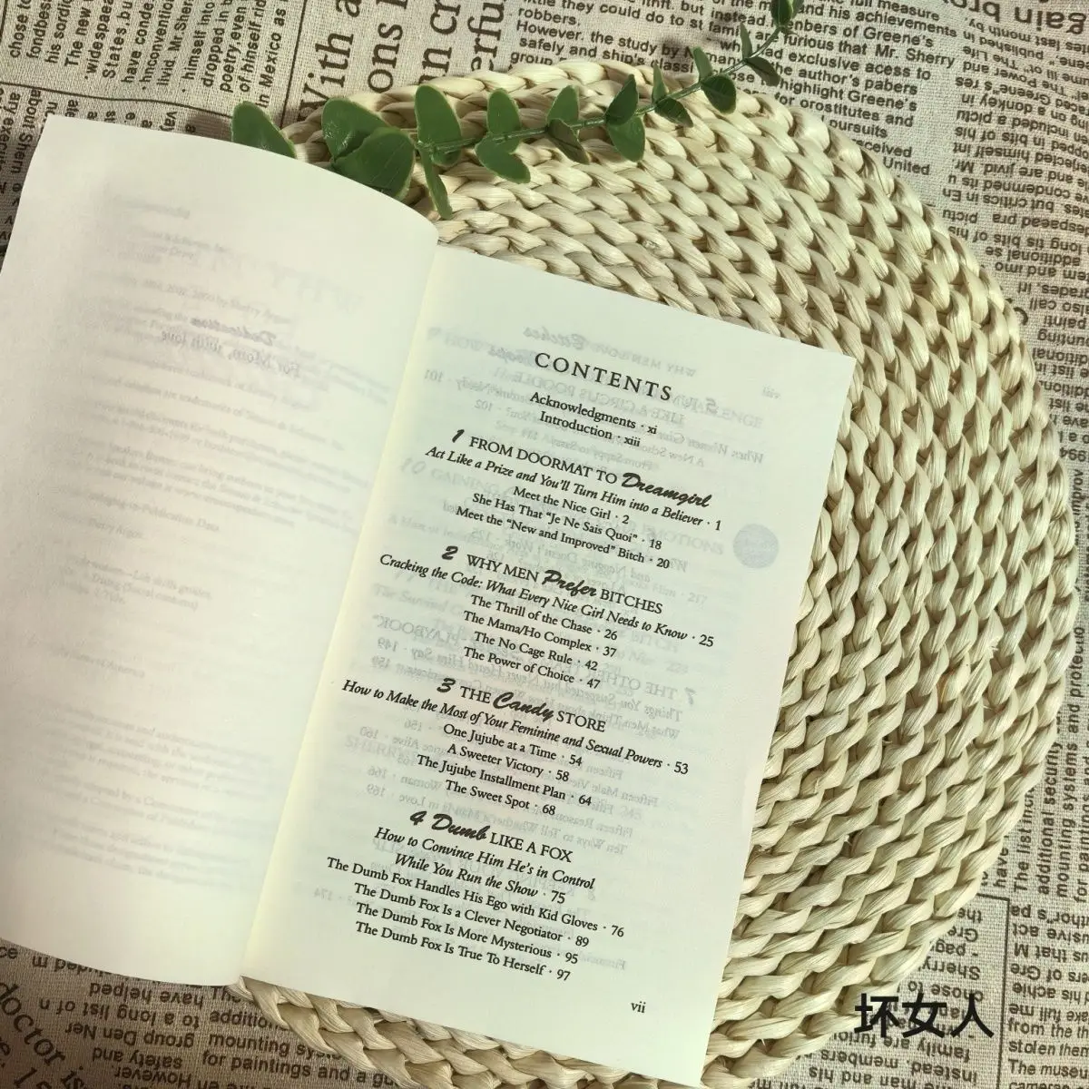 لماذا يحب الرجال العجائب: من ممسحة إلى الفتيات الأحلام - دليل المرأة للالتصاق بنفسها في علاقة