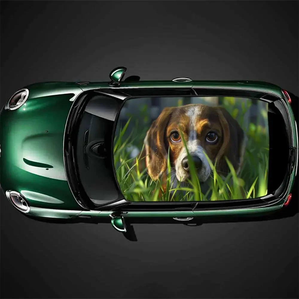 Beagle on The Lawn Print Car Roof Sticker Wrap Racing SUV Auto Accessories Packaging PVC Car Hood Graphic Decal Decoration