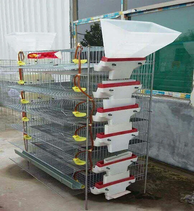 

10000 Quail Bird Cage Design For Farm