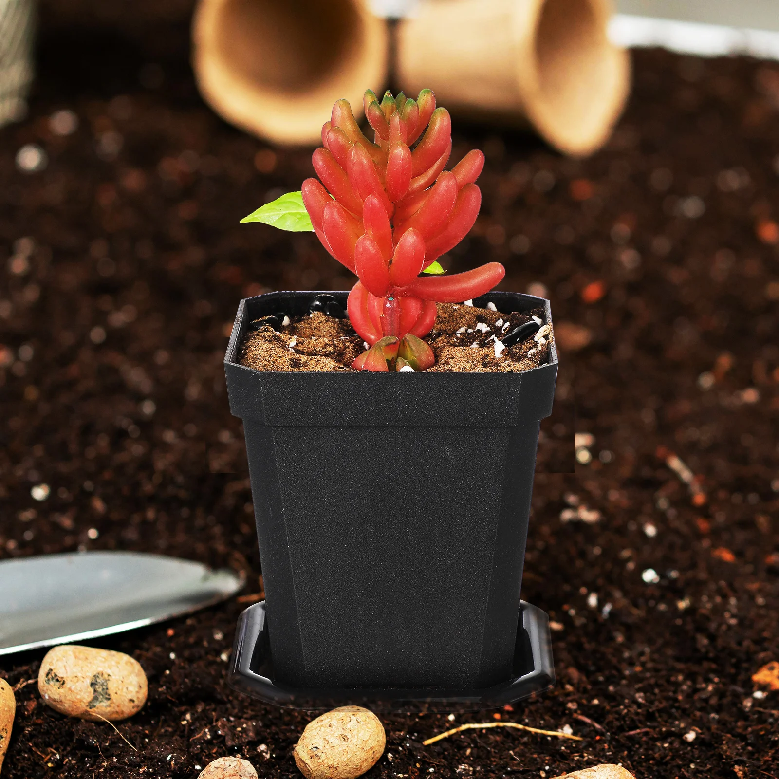

5Pcs Small Nursery Pots Thickened Seedling Planters Indoor Outdoor Plastic Planting Pots with Drainage Holes for Houseplants