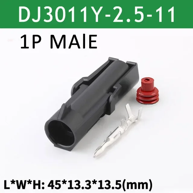 1P Male