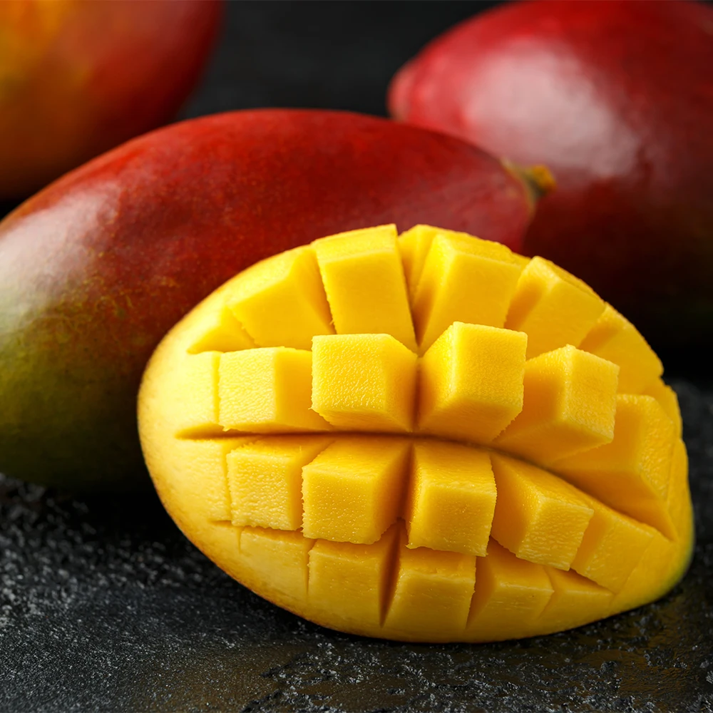 Scopri il Mondo di Giaggiolo: Qualità e Gusto per Tutti i Palati