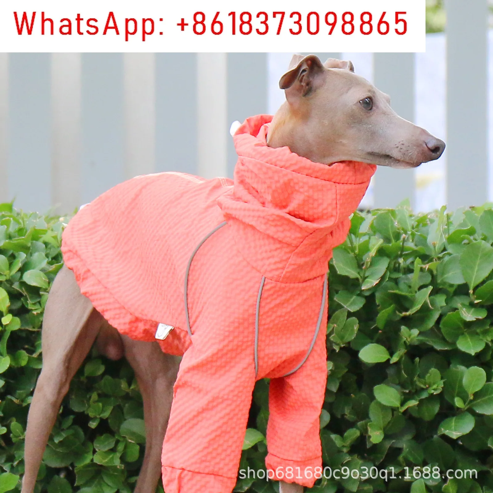 Italian Greyhound Sunscreen Rainproof Quick-Drying Jacket for Small and Medium-Sized Dogs Waterproof Raincoat