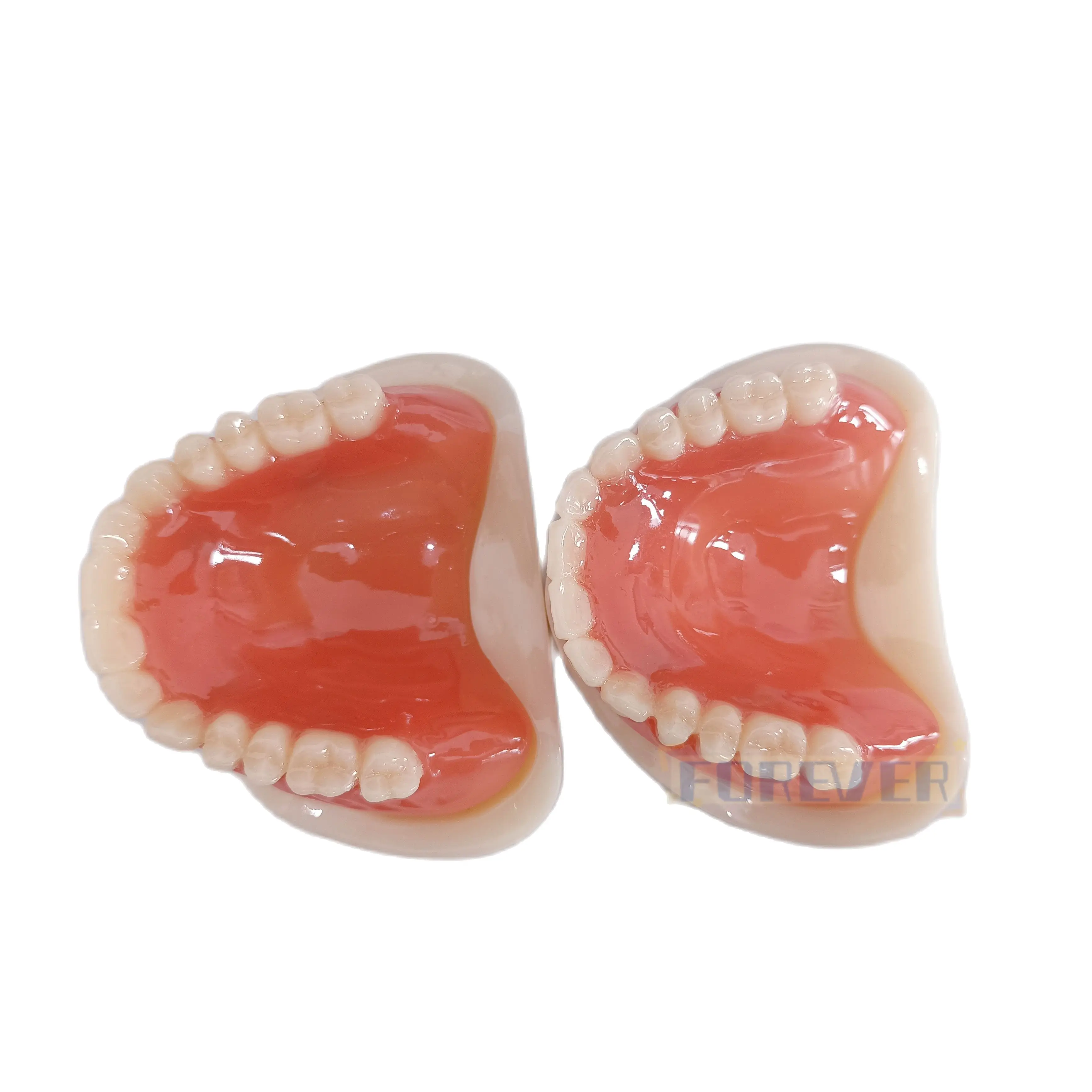 Dental Model Full Denture Magnetic Upper/Lower Attachment Study Mandibular