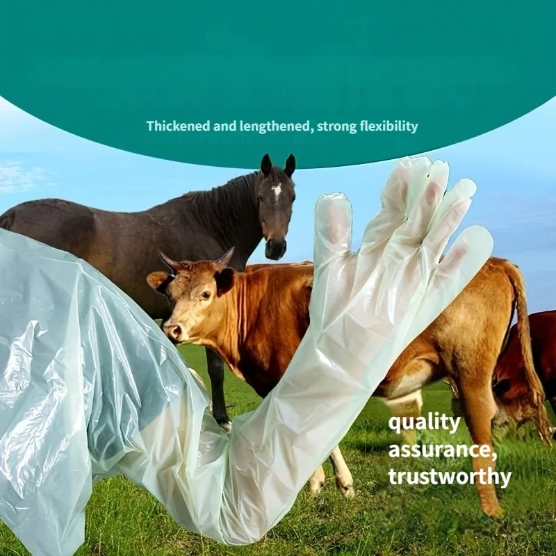 

10pc extra-long neck gloves, disposable gloves for animal care (cattle, sheep, horses, etc.) to prevent dirt.