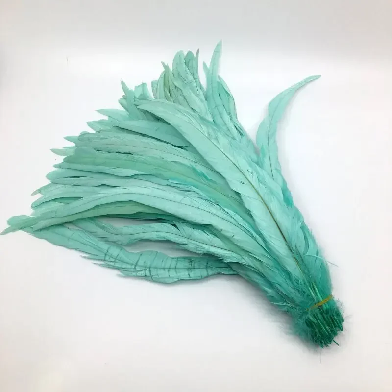 Natural Rooster Tail Feathers, Mint Green Plumes, DIY Cock Clothing, Jewelry Accessories, Party, Wholesale, 25-45cm,10-18in