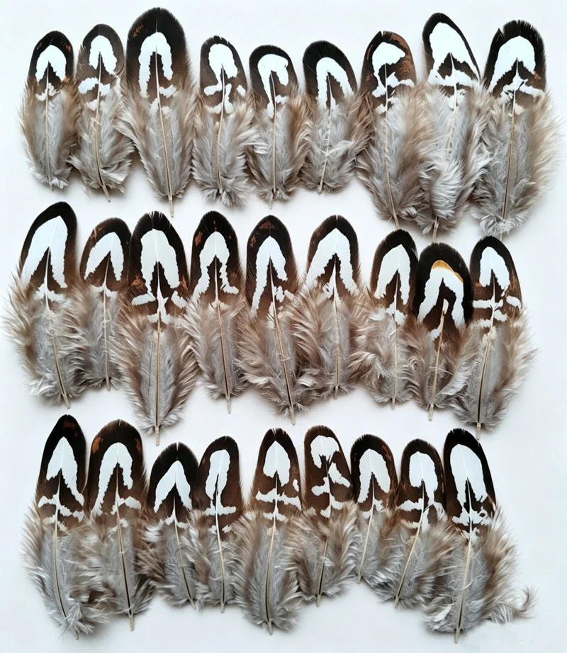 100/200/500/1000Pcs  5-9cm Natural Reeves Pheasant Feathers Black White Plumes DIY Craft Jewelry Making Decor Accessories
