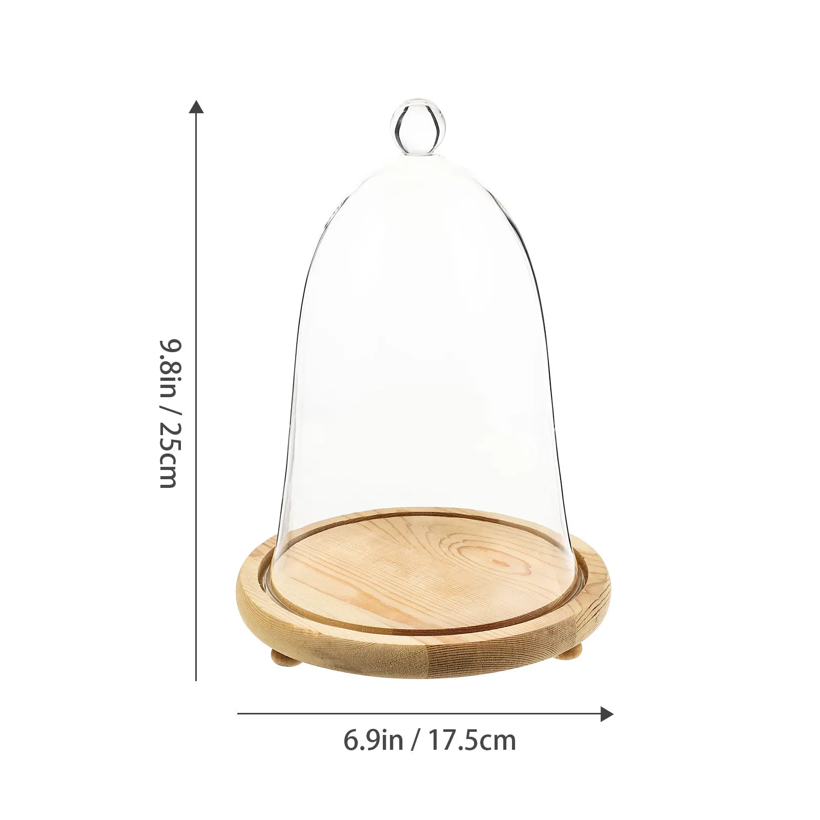 1Set Preserved Flower Glass Dome with Wooden Base for Landscape Dried Flowers Eternal Flower Display Desktop Adornment