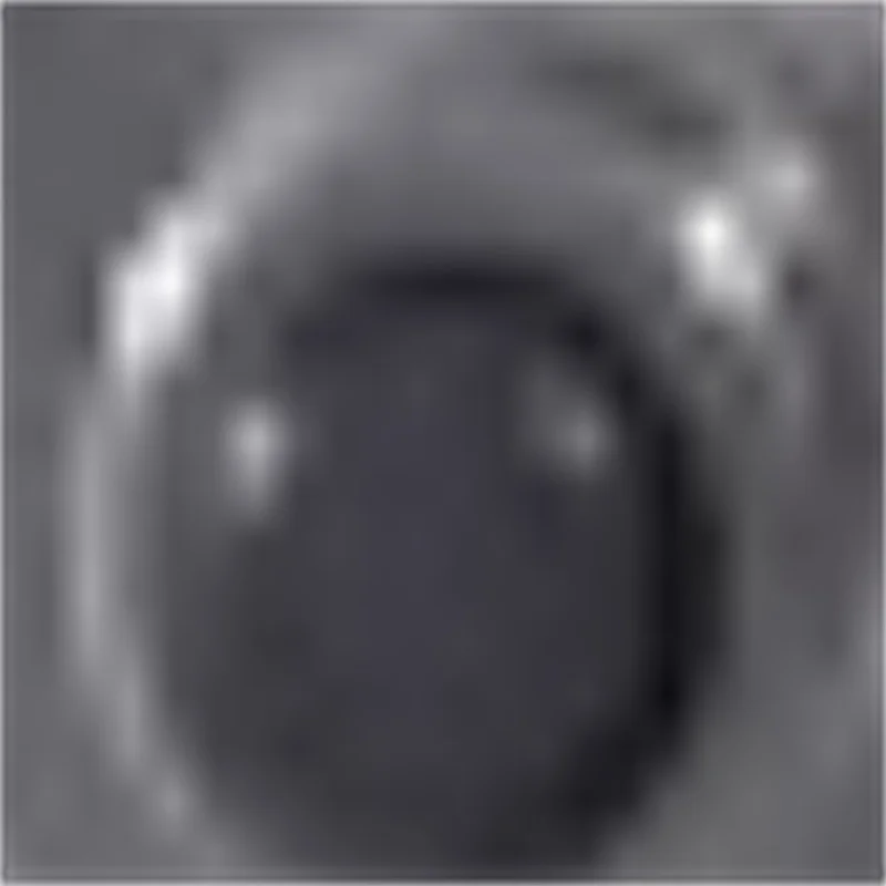 

Промышленный станок для нарезки замороженного мяса и костей на кубики (для кухни)