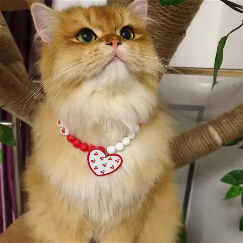 الكلب الأميرة القلب قلادة الحيوانات الأليفة اللؤلؤ طوق القط طوق مجوهرات لطيف جرو اكسسوارات الكلب سلسلة تشيهواهوا مجوهرات الزفاف الاشياء #4