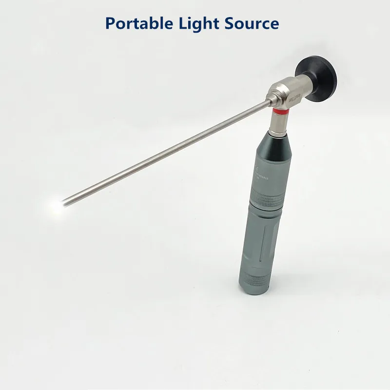 Mini Portable Handheld LED High Brightness Endoscope Cold Light Source Water-proof ENT Examination