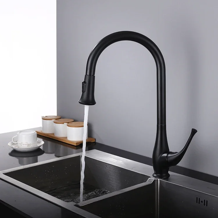 Bathroom Accessories All Copper Pull-out Kitchen Hot and Cold Washing Cauliflower Sprinkler Faucet