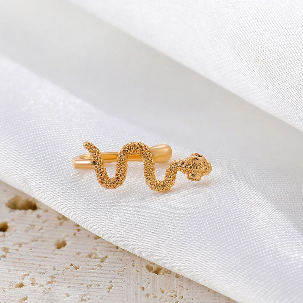 2 Anillos de Nariz Falsos con Clip de Serpiente, Pendientes de Oreja Falsos para Mujer, Piercings